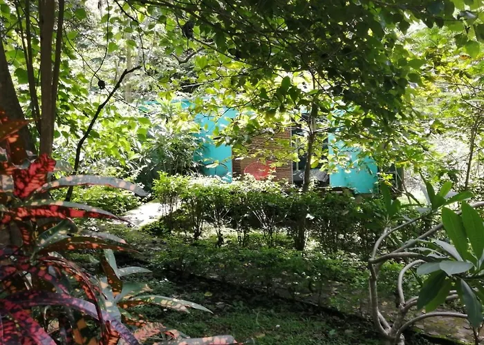 Aroma De Campo Curubande